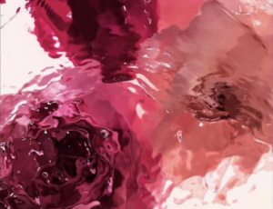 Eau de rose au nila bio
