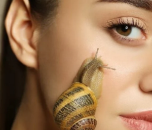 Savon à la Bave d'Escargot