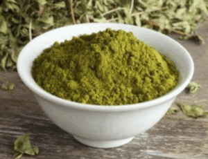 Feuilles de sidr (jujubier)